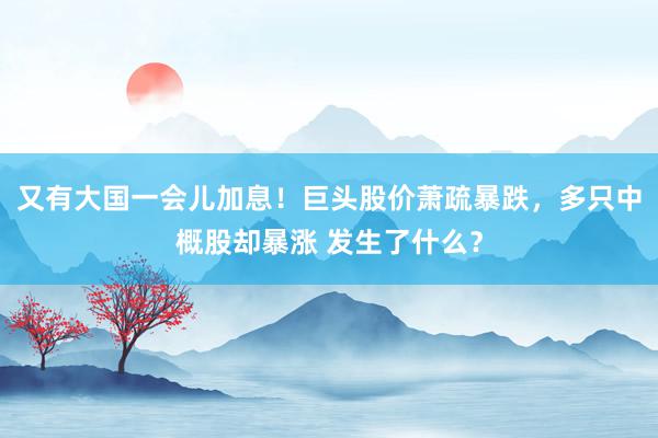 又有大国一会儿加息！巨头股价萧疏暴跌，多只中概股却暴涨 发生了什么？