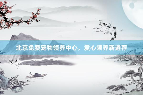 北京免费宠物领养中心，爱心领养新遴荐