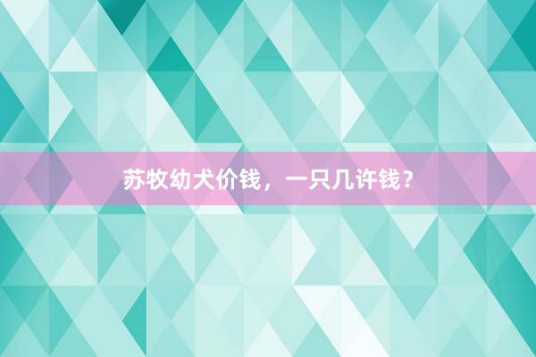 苏牧幼犬价钱，一只几许钱？